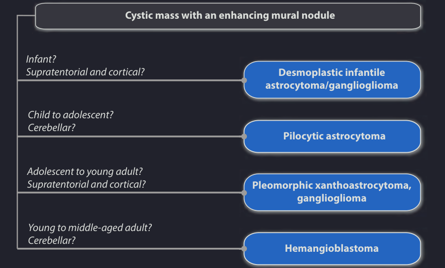 cystic mass with a mural nodule ddx.png