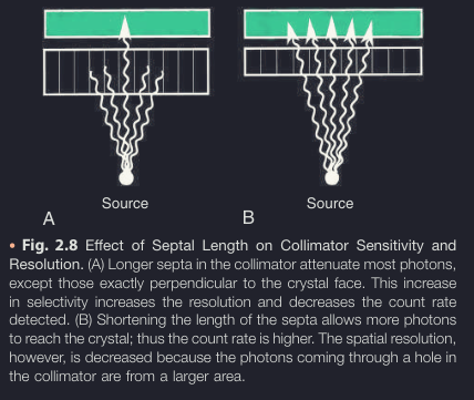 septal length and sensitivity.png