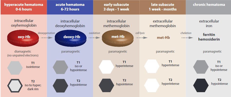 stages of parenchymal hematoma on mr.png